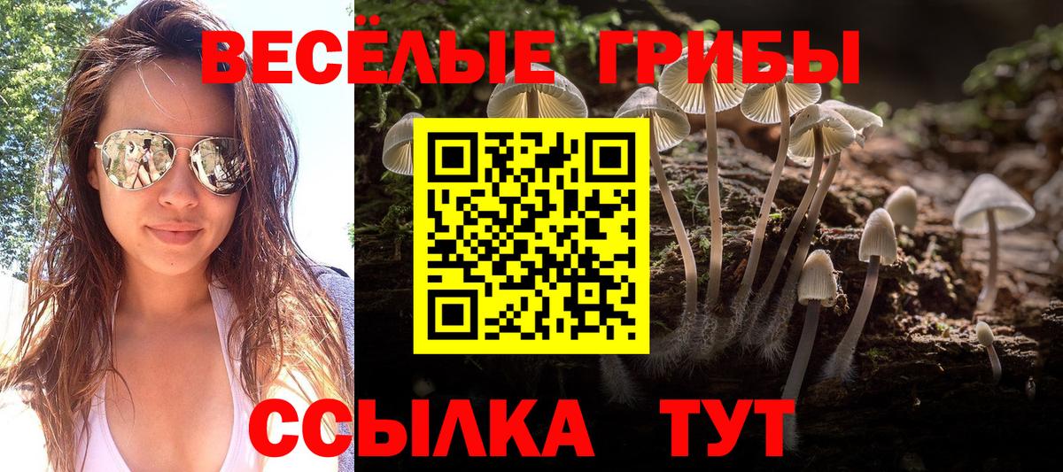 Псилоцибиновые грибы GOLDEN TEACHER  Вход с VPN  Кинешма 