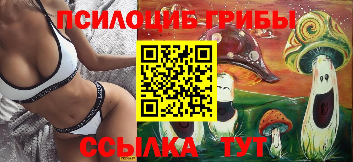 Псилоцибиновые грибы ЛСД Кинешма